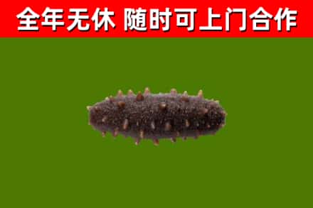 阿里烟酒回收干海参.jpg